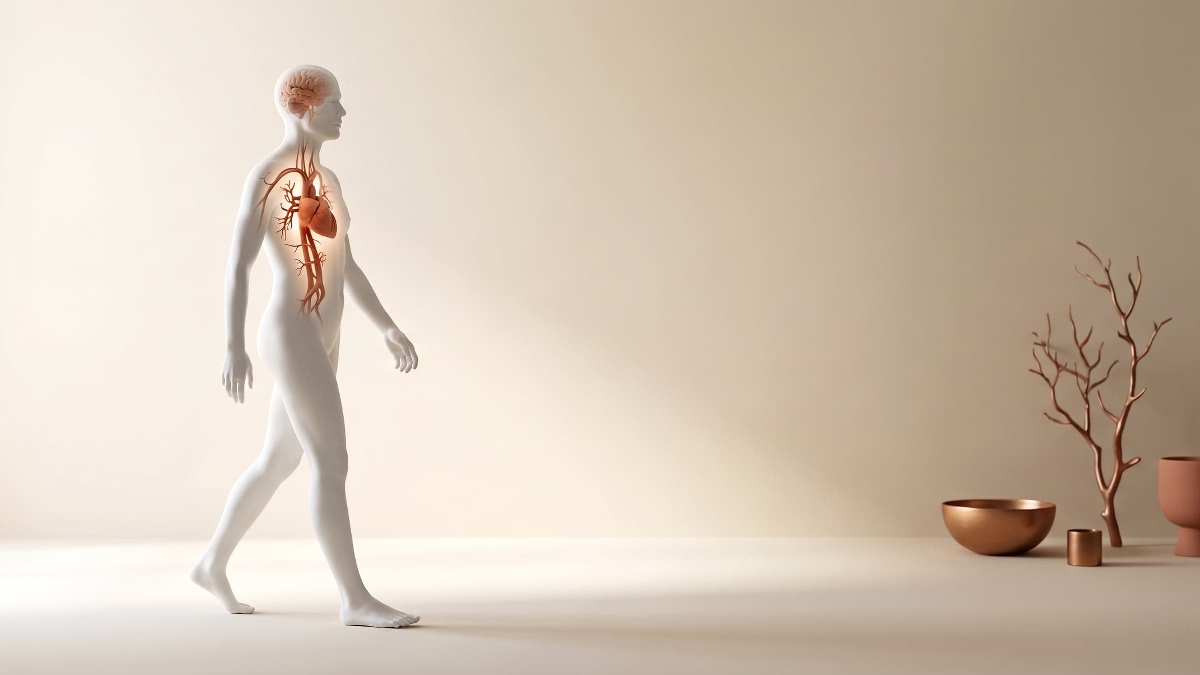 A white porcelain figure walking in profile, its translucent chest and head revealing a terracotta heart, arteries and brain, beside bronze bowls and a branching sculpture on an ivory backdrop